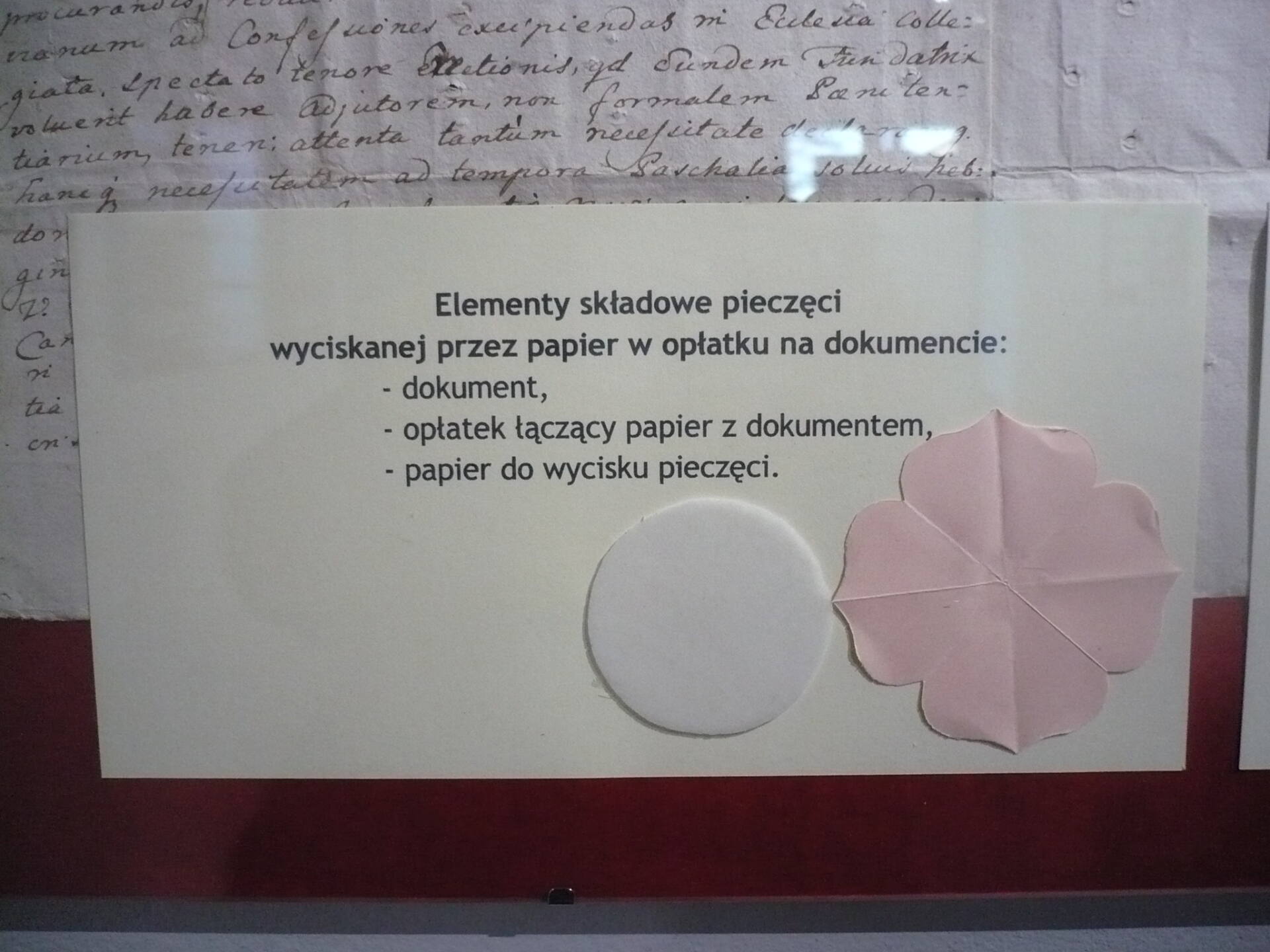 13op „Pieczywo niezwyczajne (...)na wystawie w zamojskiej Wikarówce”