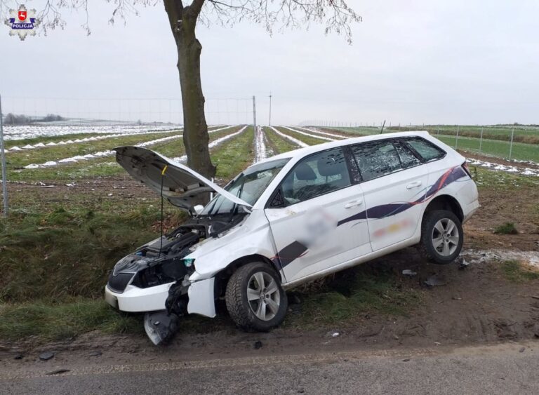 Zderzenie auta z łosiem. Ranny mężczyzna trafił do szpitala