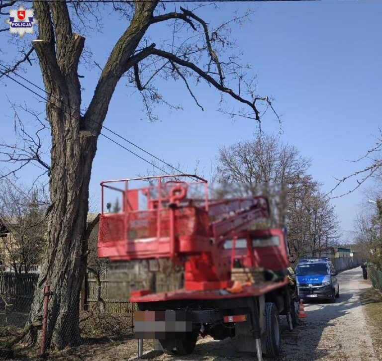 Nieszczęśliwy wypadek podczas przycinania drzew