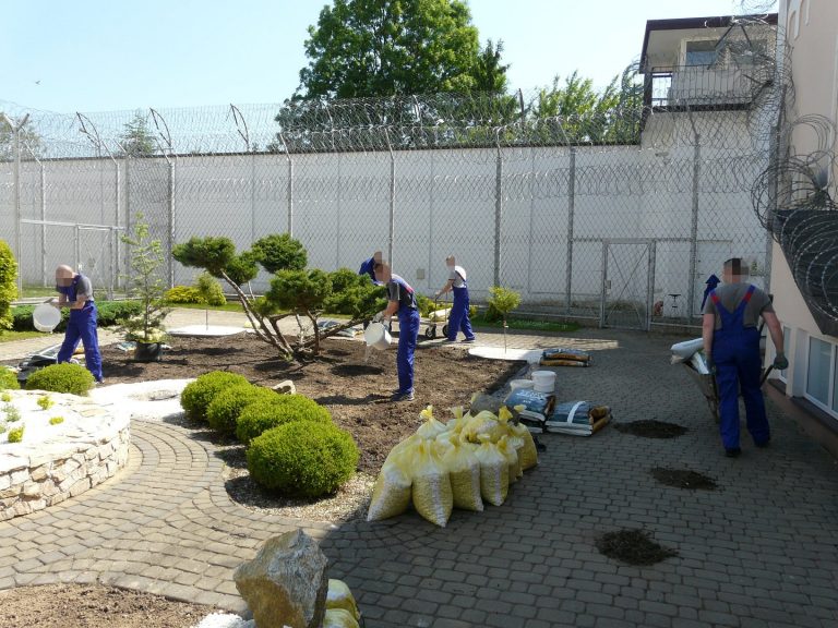 ZAMOŚĆ: Osadzeni szkolili się, jak zagospodarowywać tereny zielone