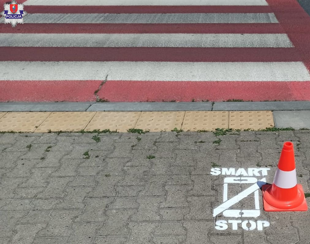 361 186412 ZAMOŚĆ: Schowaj telefon - przypominają piktogramy.