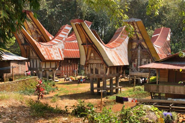5 wioska torajow Wybierz się w podróż do Indonezji z Zamojskim Domem Kultury