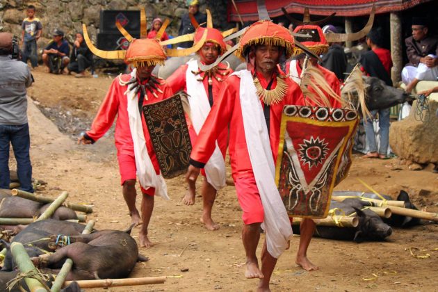 6 wojownicy podczas ceremonii pogrzebowej w tana toraja Wybierz się w podróż do Indonezji z Zamojskim Domem Kultury