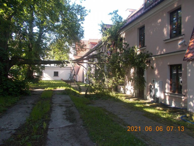 Zamość: Przewrócone drzewo
