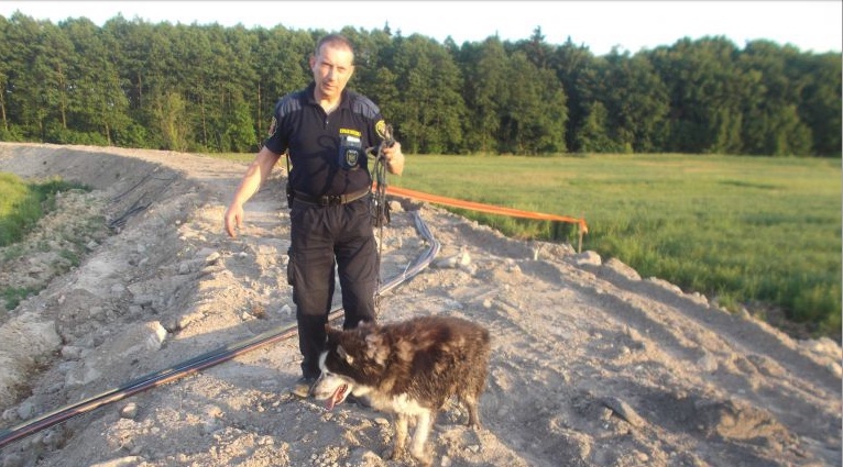ZAMOŚĆ: Strażnicy miejscy uratowali psa przed niechybną śmiercią