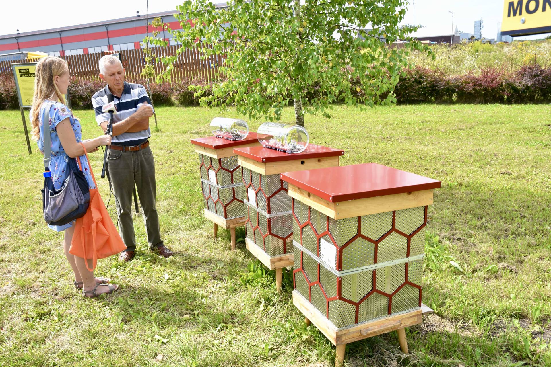 dsc 9891 ZAMOŚĆ: Miejska pasieka z ulami z recyklingu uroczyście otwarta [ZDJĘCIA]