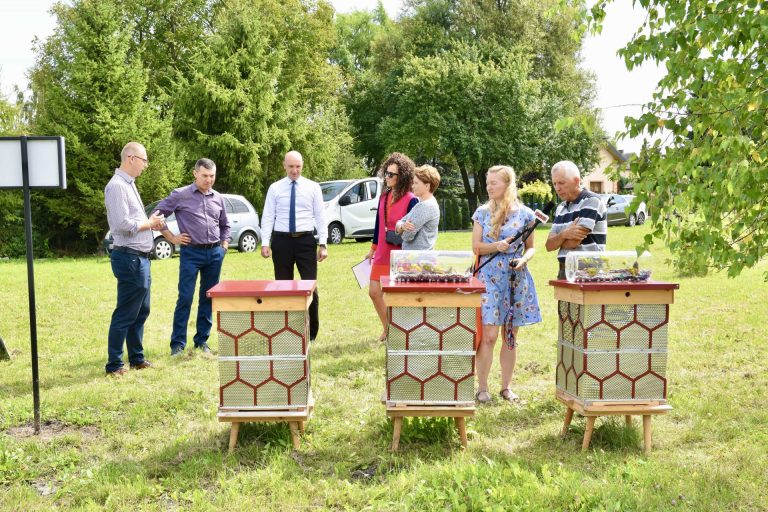 ZAMOŚĆ: Miejska pasieka z ulami z recyklingu uroczyście otwarta [ZDJĘCIA]