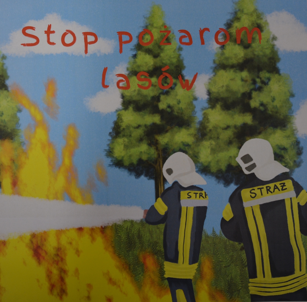 spl3 ZAMOŚĆ: I etap konkursu „Stop pożarom lasów” rozstrzygnięty