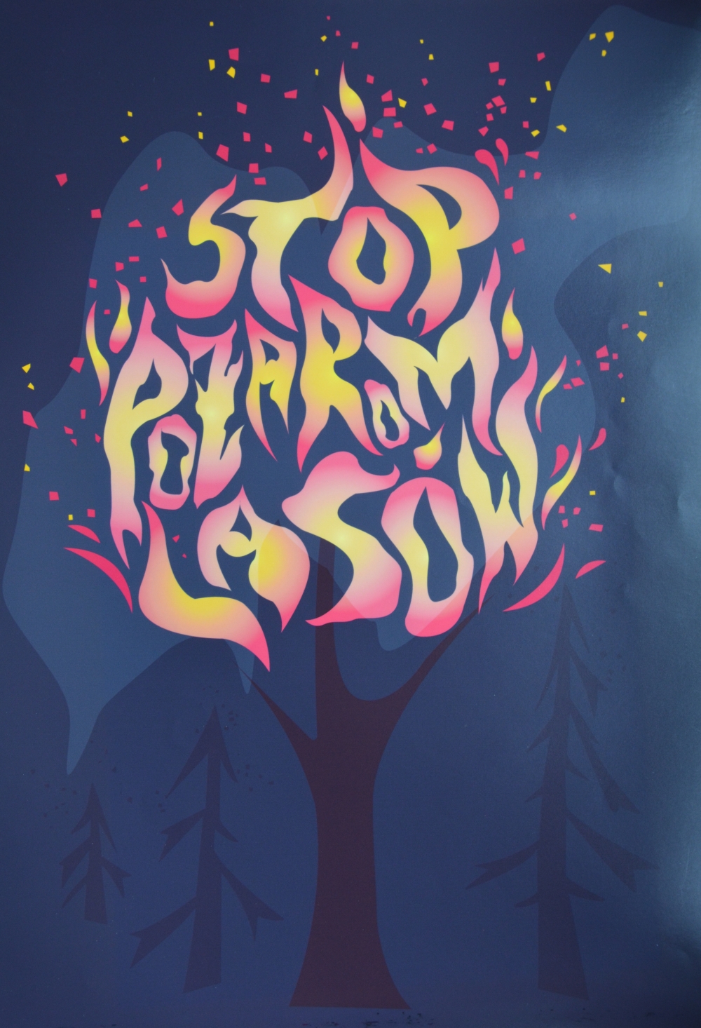 stop pozarom lasow ZAMOŚĆ: I etap konkursu „Stop pożarom lasów” rozstrzygnięty