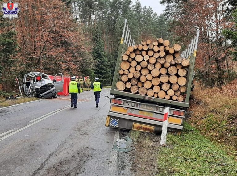 Tragiczny wypadek w Zwierzyńcu. 46-latka poniosła śmierć na miejscu.