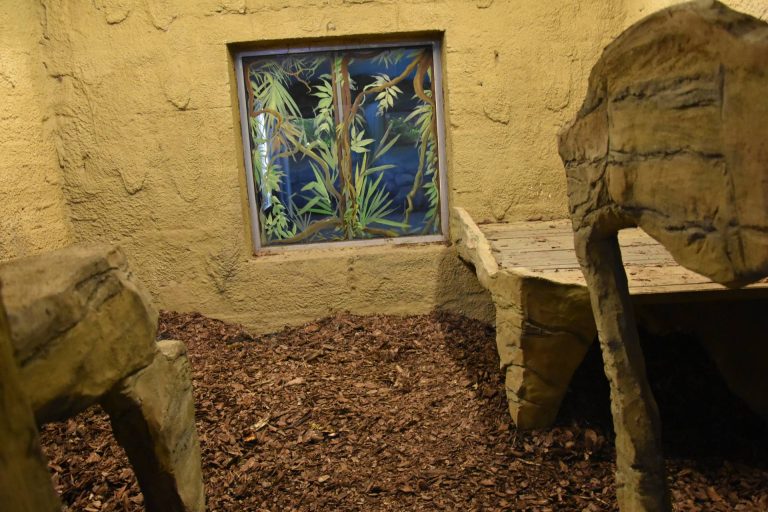Nowości w zamojskim ZOO [ZDJĘCIA]