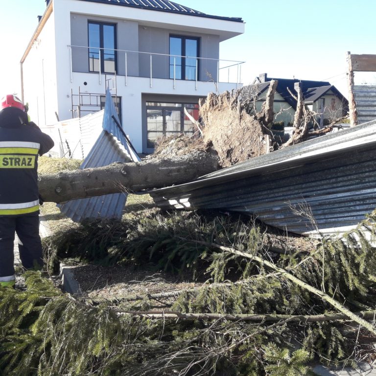 Straty po weekendowych wichurach w Zamościu i regionie.