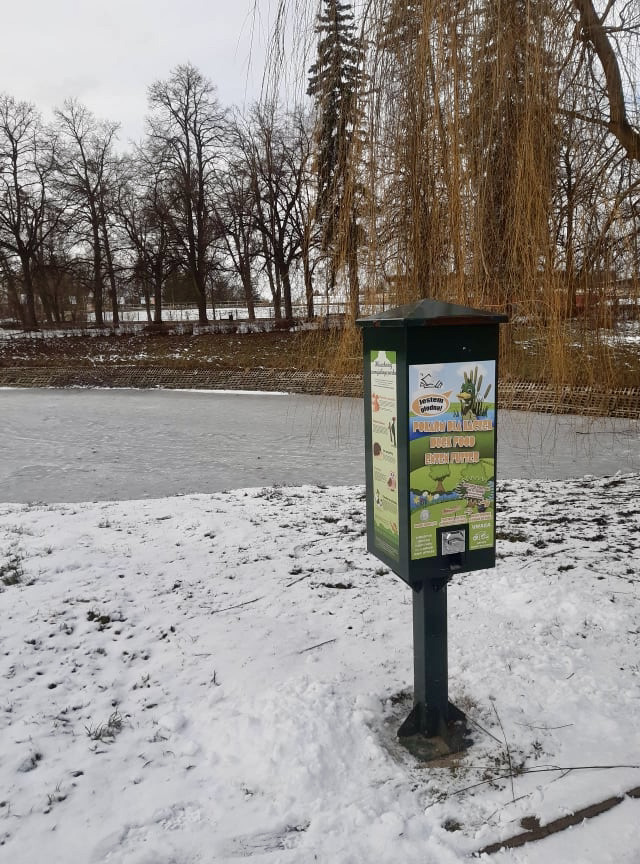 kaczkomat2 1 Zamość dba o kaczki.