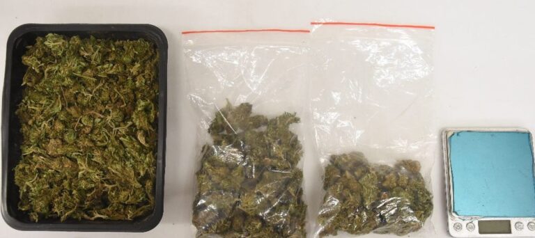 Marihuana oraz krzewy w fazie wzrostu zabezpieczone przez policję