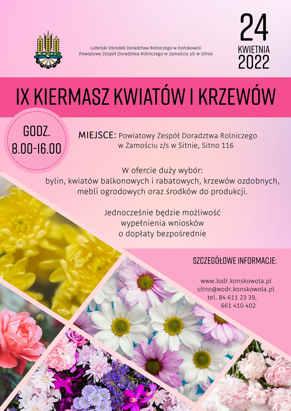 kiermasz kwiatow i krzewow fill 1000x1415 1 Największy kiermasz kwiatów i krzewów w regionie