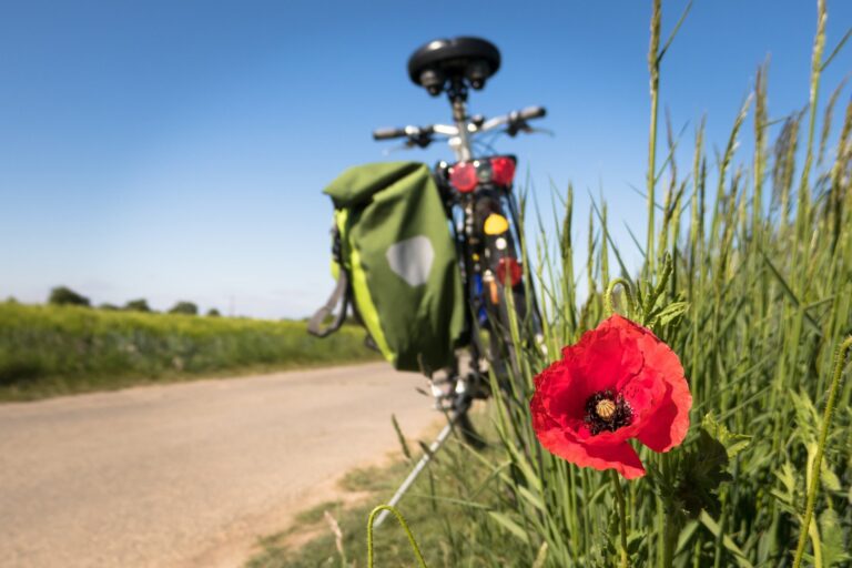 „Wielka Wyprawa” – charytatywna podróż rowerowa już po raz drugi!