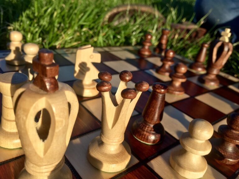 ZAMOŚĆ: Turniej szachowy pod drzewkiem