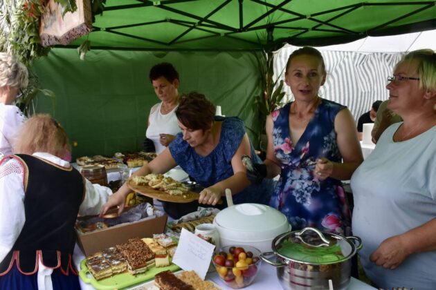 dsc 7858 Powiatowe święto plonów (ZDJĘCIA)