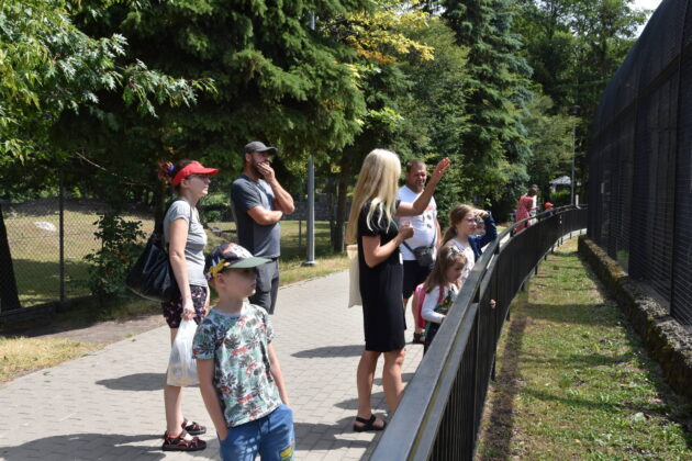 wakacje w zoo Zamojskie ZOO kusi atrakcjami. Pojawiły się nowe zwierzęta.