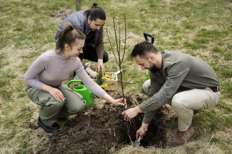 Zielone Płuca dla Zamościa – zasadzą drzewa