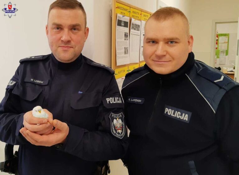 Niecodzienna interwencja policjantów. Jeszcze nakarmili i ogrzali (ZDJĘCIA)