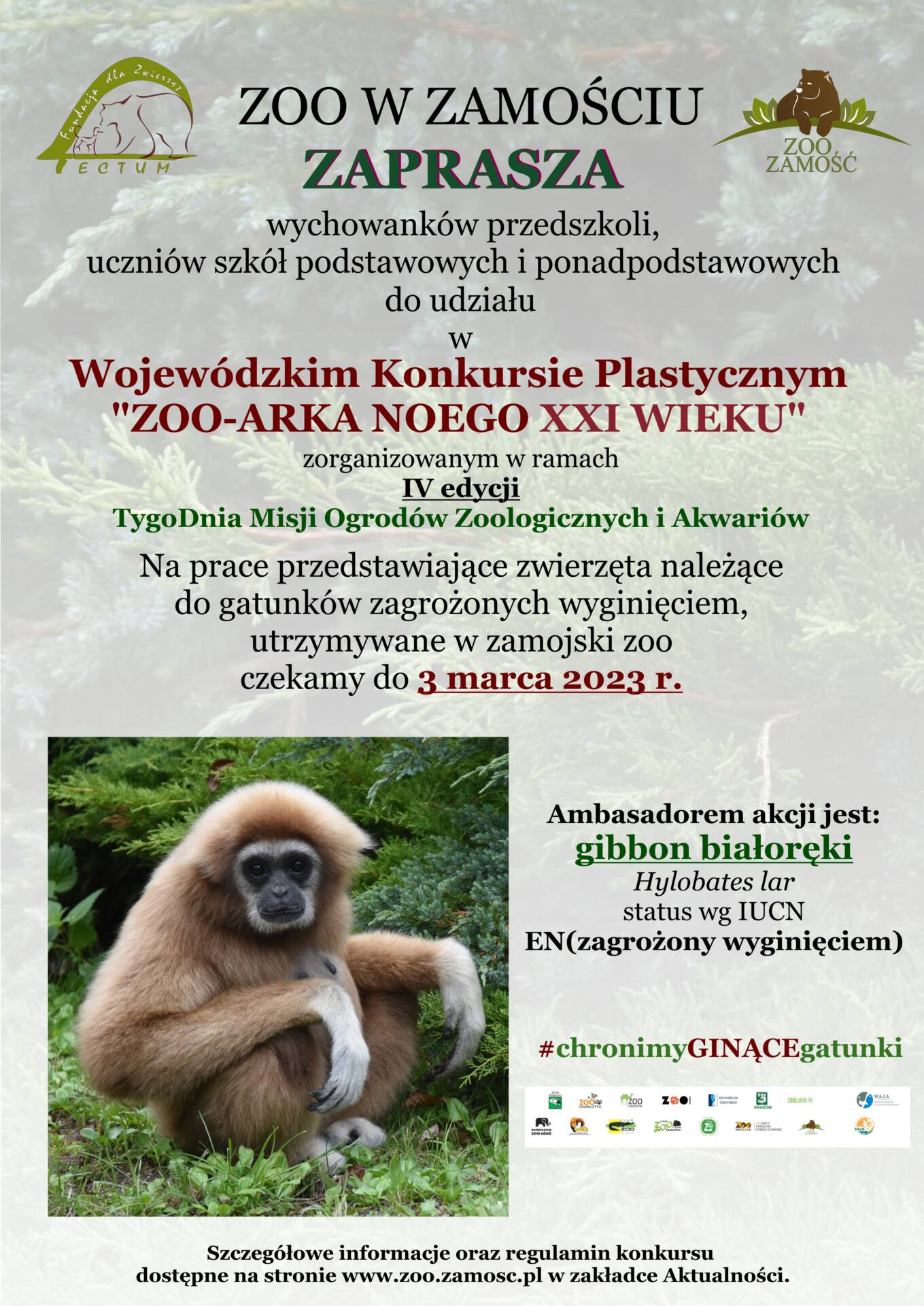 plakat konkurs plastyczny zoo arka noego xxi wieku Małpka Kiki ambasadorem zamojskiego zoo- obchody Tygodnia Misji Ogrodów Zoologicznych w Zamościu