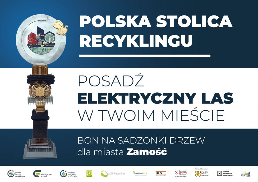 14770b Dobra wiadomość. W Zamościu powstanie "Elektryczny Las"