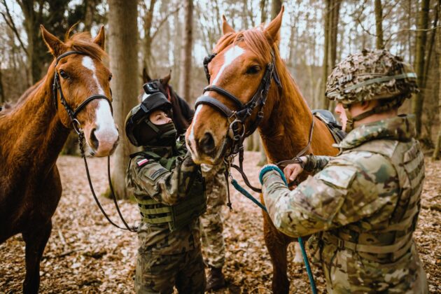 2lbot konny trening taktyczny 3 Wspólne szkolenie brytyjskich kawalerzystów i pododdziału konnego 2 LBOT (zdjęcia)