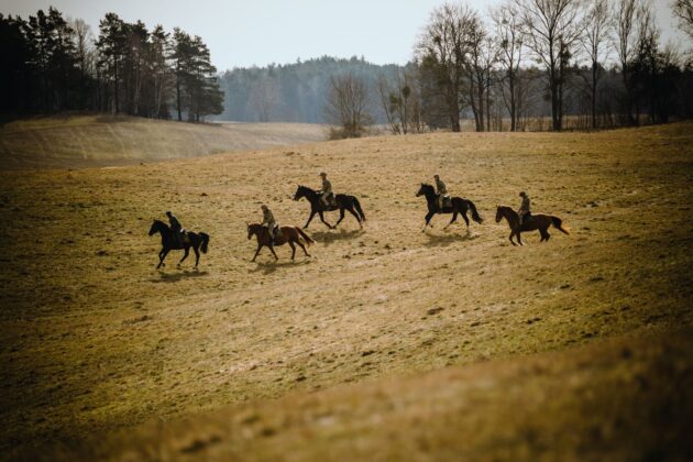 2lbot konny trening taktyczny 5 Wspólne szkolenie brytyjskich kawalerzystów i pododdziału konnego 2 LBOT (zdjęcia)