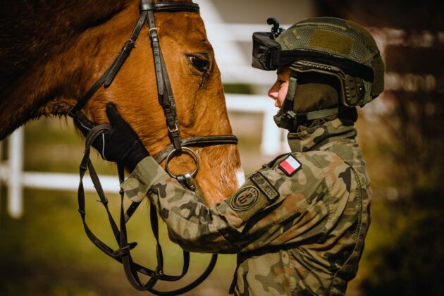 2lbot konny trening taktyczny 6 Wspólne szkolenie brytyjskich kawalerzystów i pododdziału konnego 2 LBOT (zdjęcia)