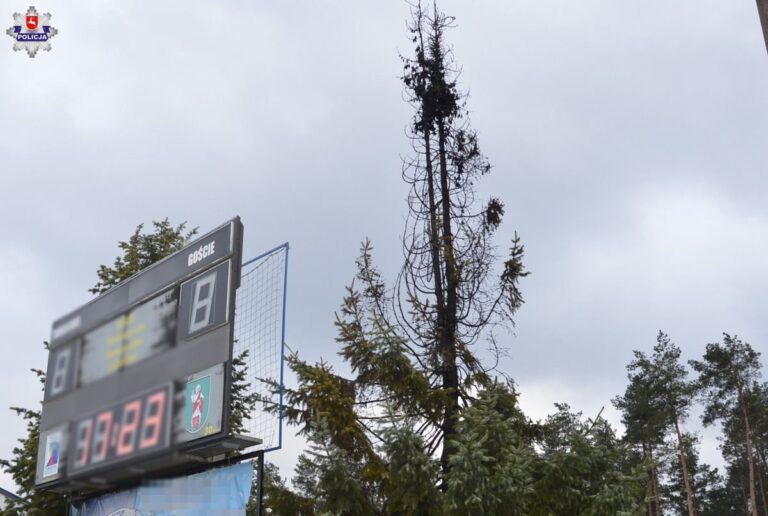 Podpalili kilkumetrowy świerk na terenie stadionu. Tak świętowali pierwszy dzień wiosny