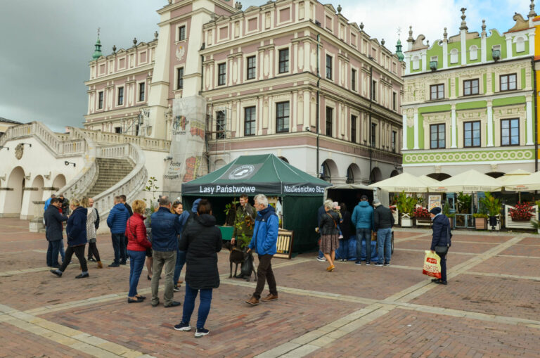 Nadleśnictwo Strzelce będzie rozdawać sadzonki drzew leśnych na Zamojskim Rynku