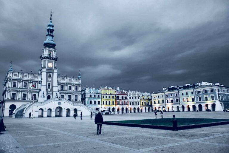 Dobra wiadomość. W Zamościu powstanie “Elektryczny Las”