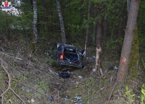 361 220160 Jeden nie opanował mocy swojej Laguny. Inni z promilami podróżowali po Zamościu