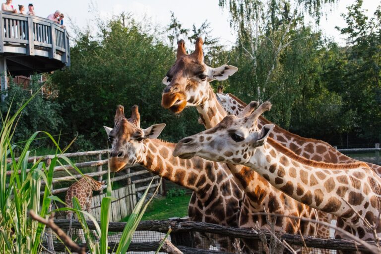 Pracownik Zamojskiego Zoo wyróżniony