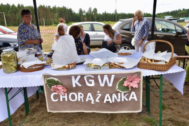 dsc 9267 Obchody 100-lecia Lasów Państwowych na terenie Nadleśnictwa Tomaszów (DUŻO ZDJĘĆ)