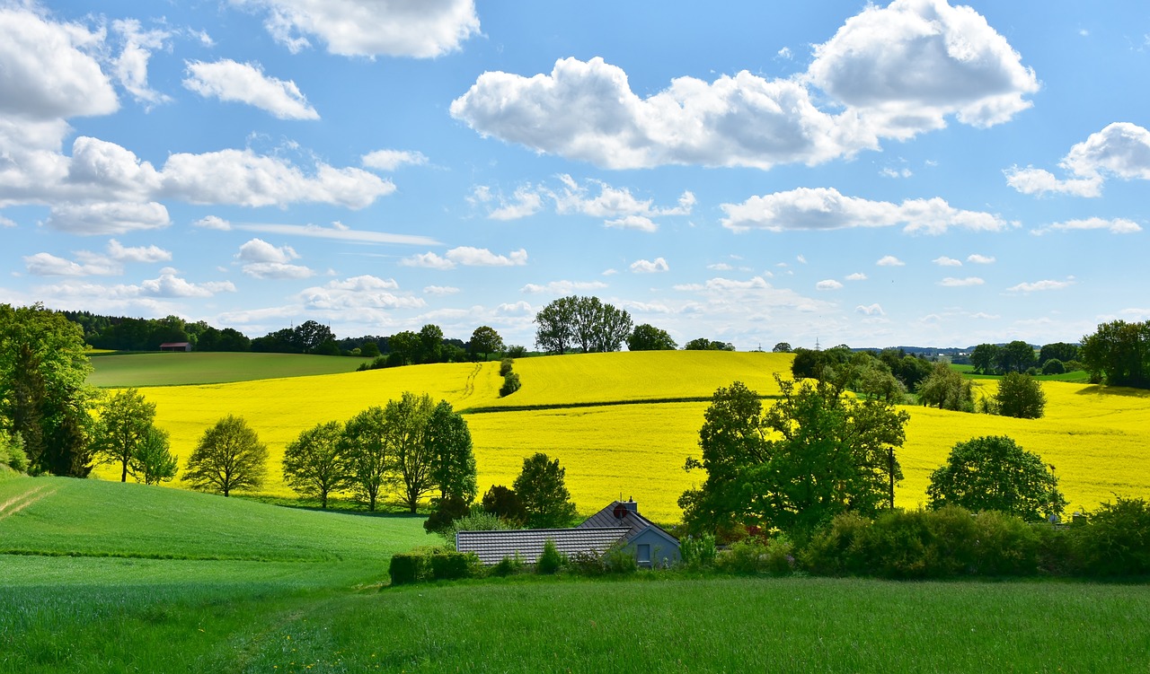 landscape g97f3cfdc2 1280 Roztoczańska Wiosna 2023 do obejrzenia w Zamojskim Domu Kultury