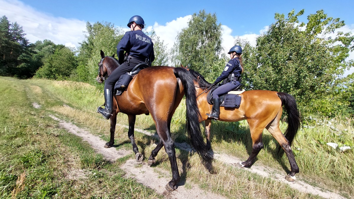 68 225813 g Patrole konne strzegą granicy z Białorusią