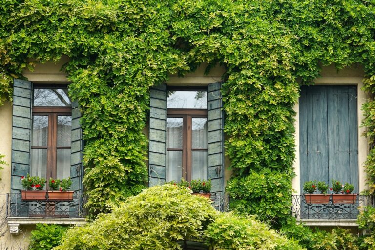 Zachęcamy do głosowania na najładniejszy balkon, ogródek lub podwórko w Zamościu. UDOSTĘPNIJ