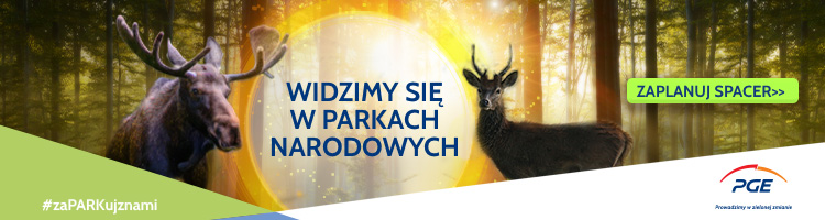 Zobacz jesienną odsłonę Parków Narodowych współpracujących z PGE