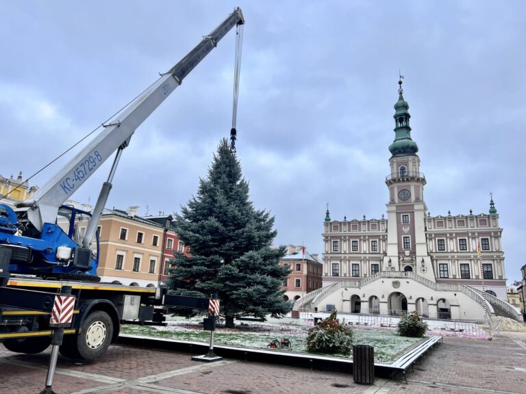 Choinka wjechała na kwadrat