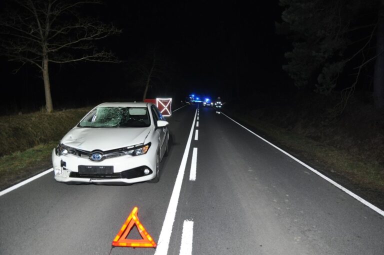 Śmiertelnie potrącony przez kierowcę Toyoty