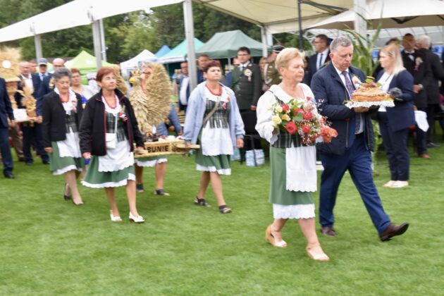 dsc 3383 Dożynki Powiatowo-Gminne w Łabuniach (Fotorelacja)