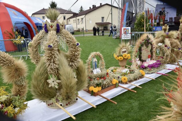 dsc 3478 Dożynki Powiatowo-Gminne w Łabuniach (Fotorelacja)