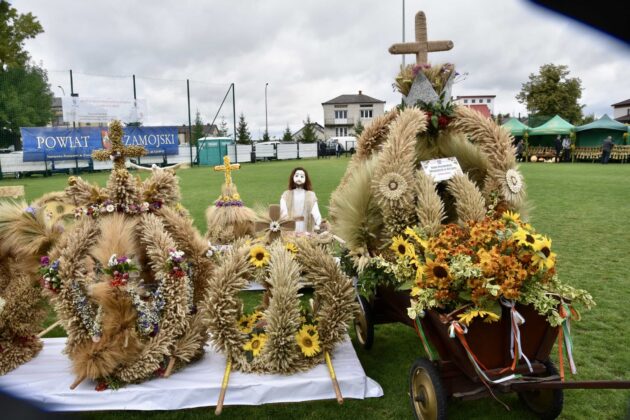 dsc 3490 Dożynki Powiatowo-Gminne w Łabuniach (Fotorelacja)