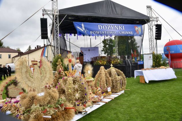dsc 3507 Dożynki Powiatowo-Gminne w Łabuniach (Fotorelacja)