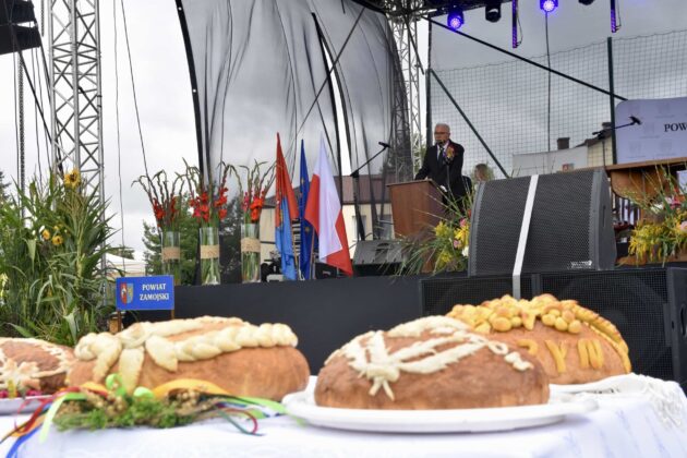 dsc 3508 Dożynki Powiatowo-Gminne w Łabuniach (Fotorelacja)