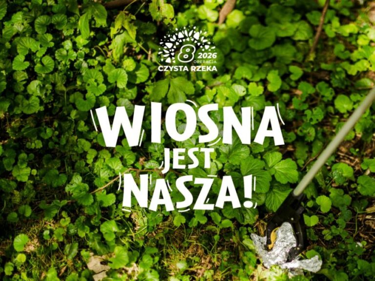 Zamość bierze się za sprzątanie! Szuka ludzi do pracy za darmo!