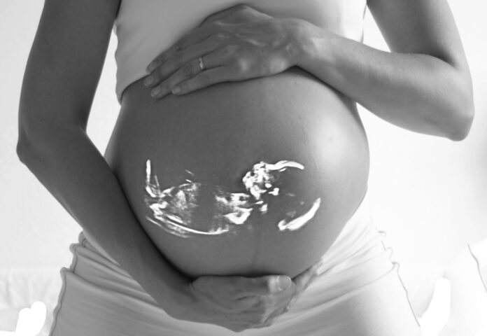 clickerhappy-pregnant-518793